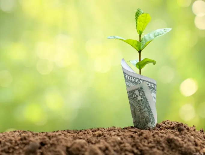 A local startup has received a seven-figure raise.